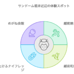 サンドーム福井周辺で楽しめる観光スポットや伝統工芸体験を紹介した画像。越前漆器、越前和紙、越前打刃物、めがね会館など、福井の文化を満喫できる情報が満載